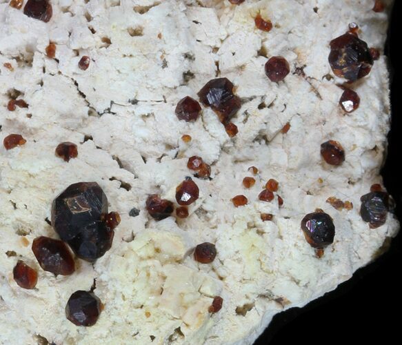 Spessartine Garnets On Feldspar - China #32602